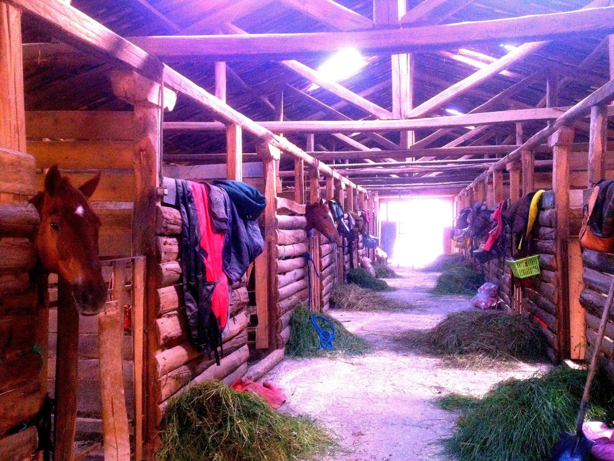 Hosteria Caballo Campana Cuenca Eksteriør bilde